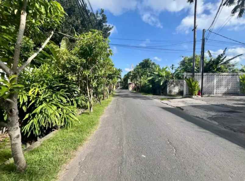 jual tanah di kawasan canggu kuta utara badung