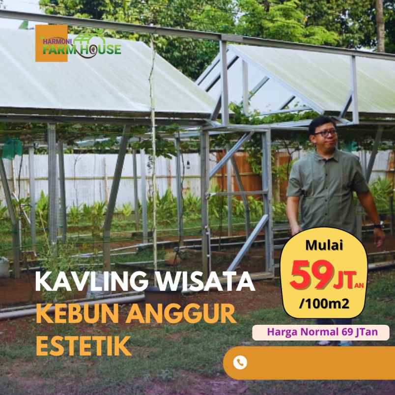 kavling wisata kebun anggur produktif