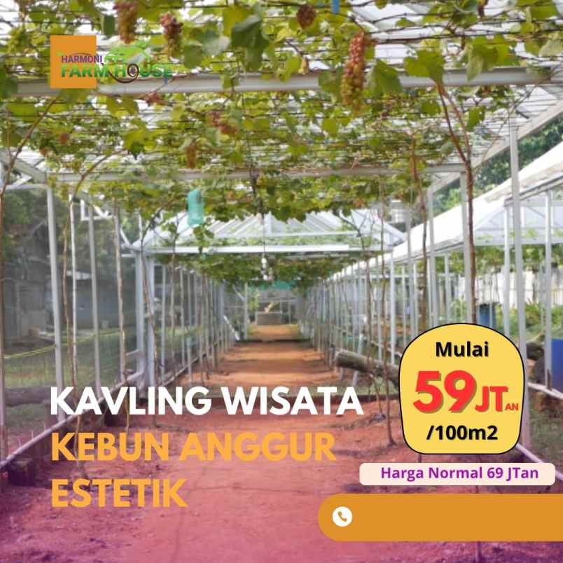 kavling wisata kebun anggur produktif