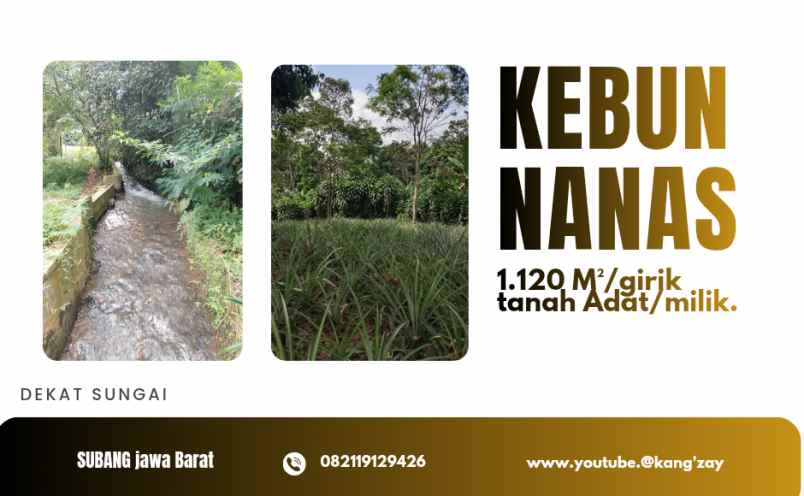 kebun nana s ciater subang lahan produktif