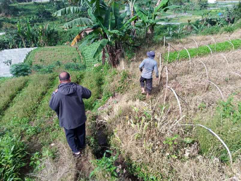 lahan 19 ha di sebrang rindu alam 2 puncak