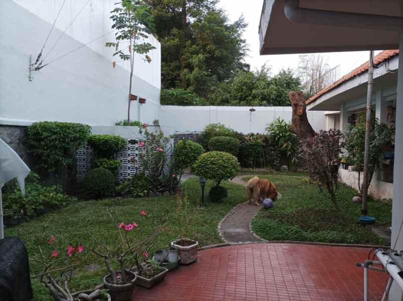 rumah peninggalan belanda bagus di dr soetomo surabaya