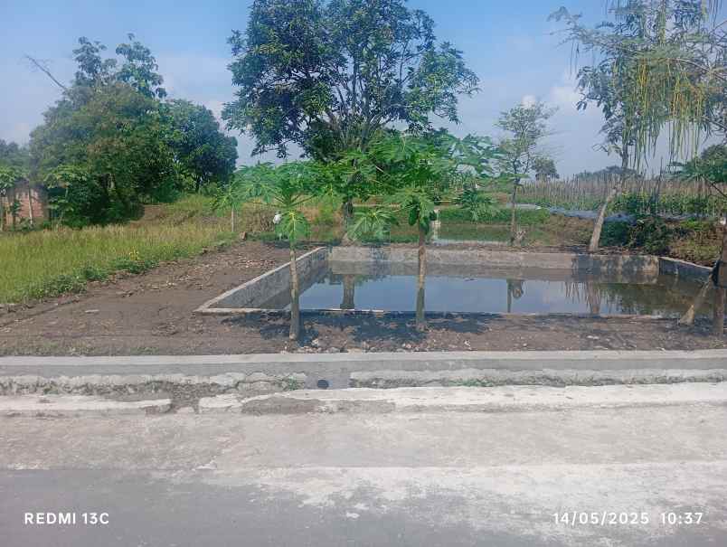 tanah 1250m2 muka 12m untuk hunian dan kolam 550jt