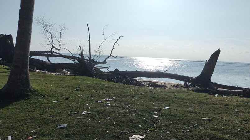 tanah 3 bidang dekat pantai lampung krui