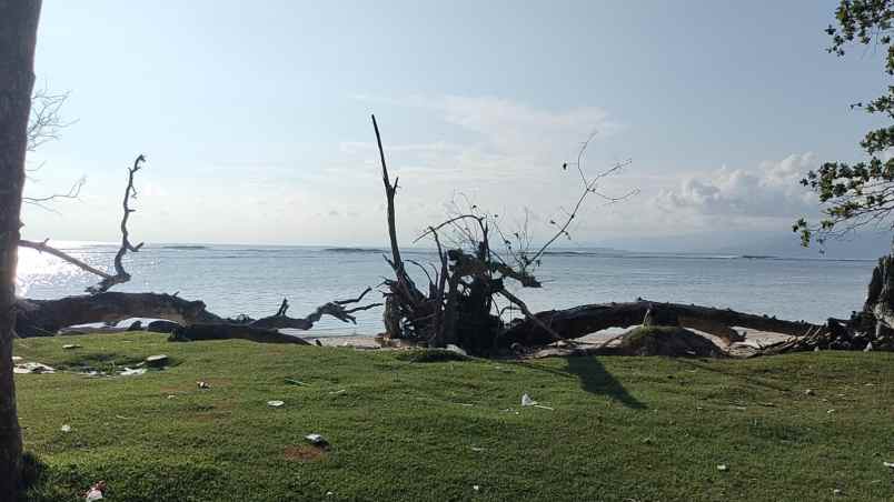 tanah 3 bidang dekat pantai lampung krui