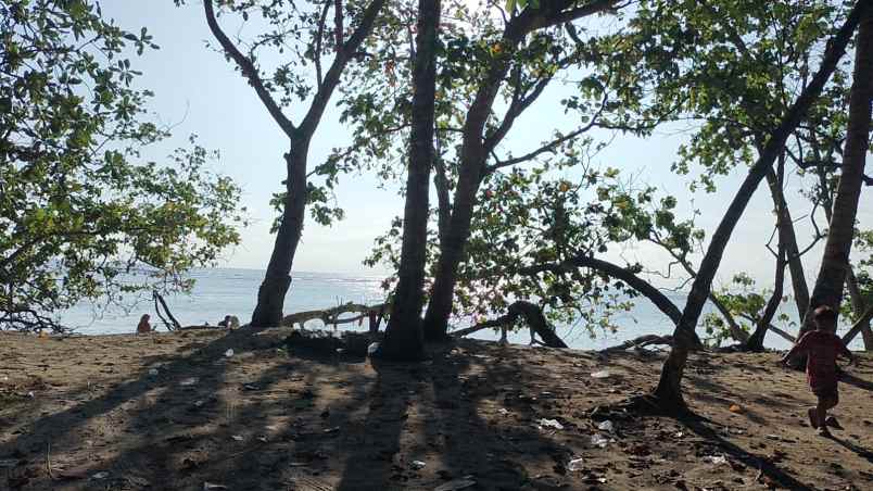 tanah 3 bidang dekat pantai lampung krui