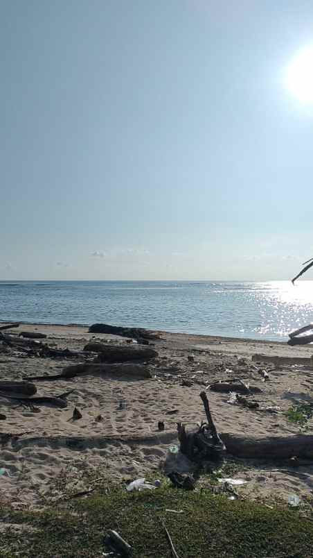 tanah 3 bidang dekat pantai lampung krui