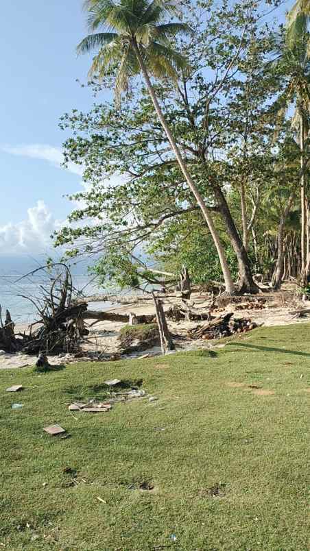 tanah 3 bidang dekat pantai lampung krui