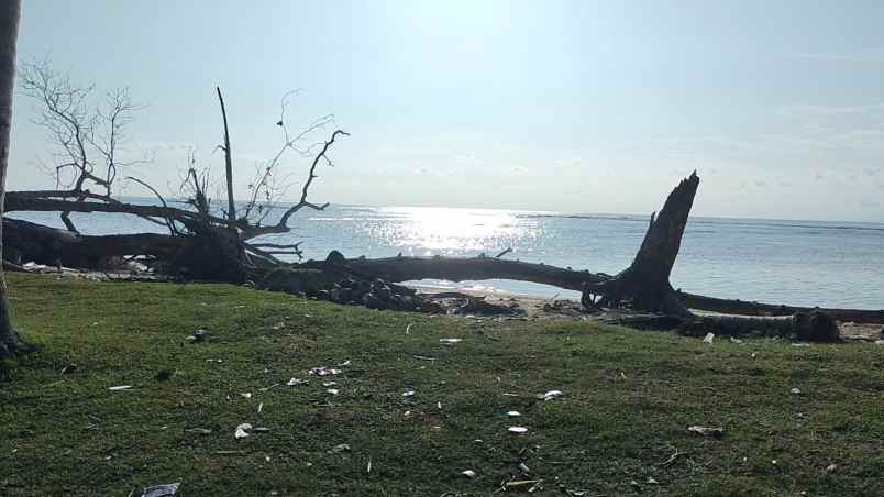 tanah 3 bidang dekat pantai lampung krui