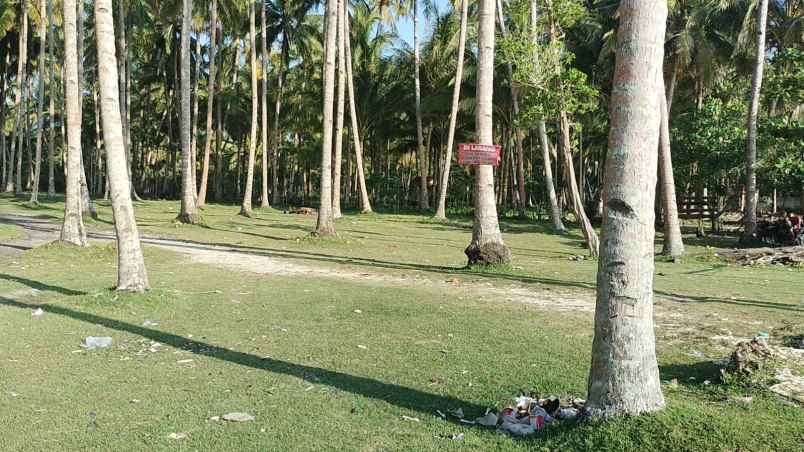 tanah 3 bidang dekat pantai lampung krui