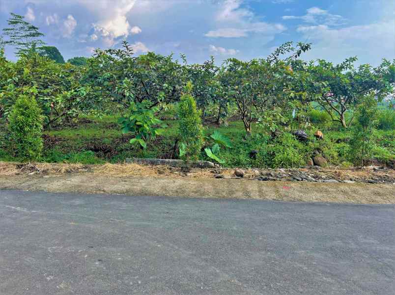 tanah 432m datar ngargoyoso view sawah