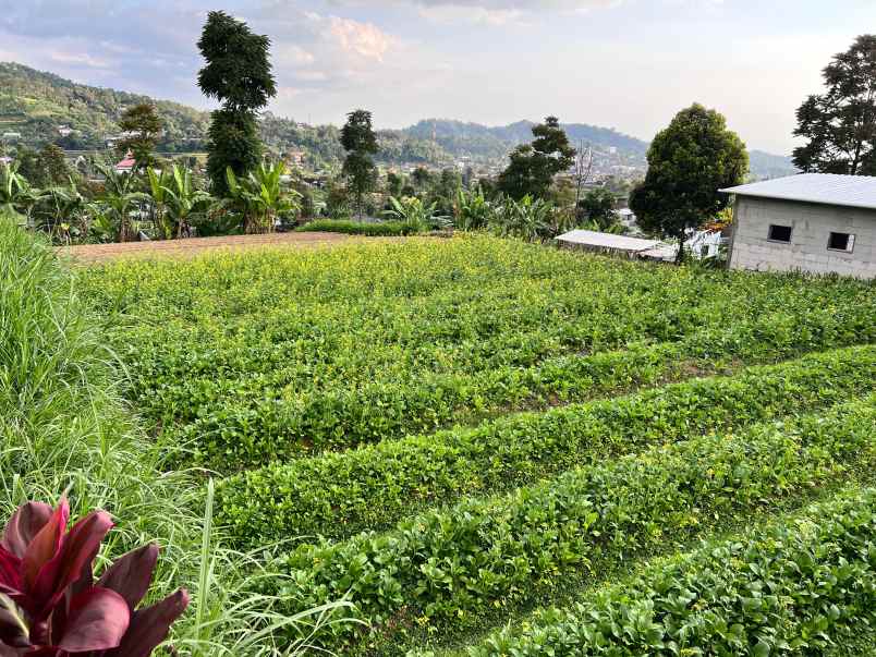 tanah 700m view perbukitan karangpandan