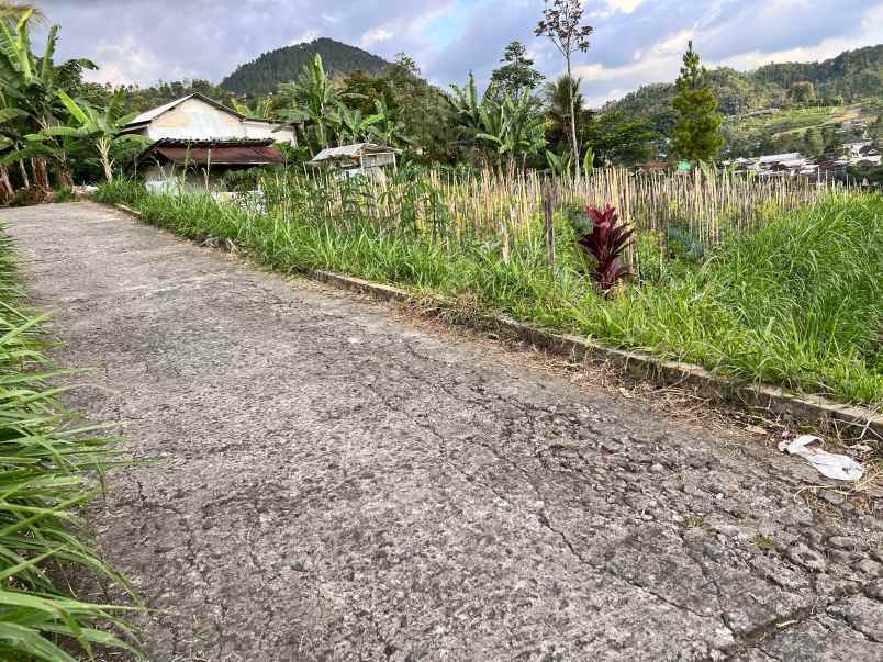 tanah 700m view perbukitan karangpandan