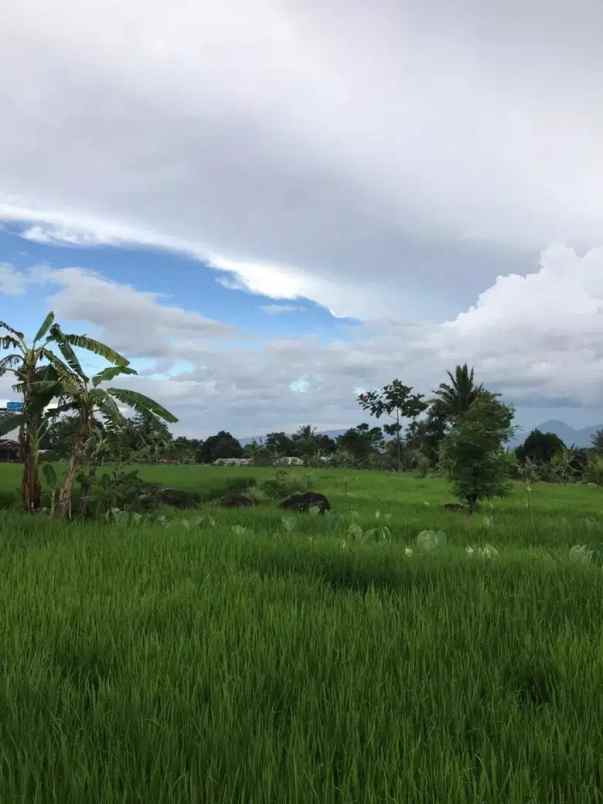 tanah bogor