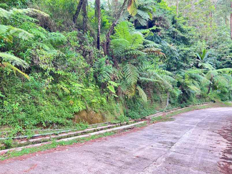 tanah bonus villa cocok untuk wista glamping kemuning