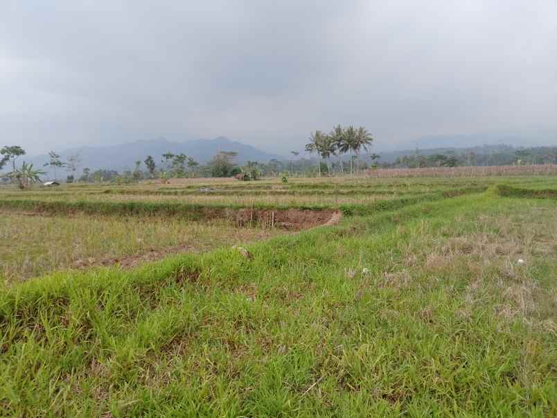 tanah daerah sekitar ciater subang jawa barat