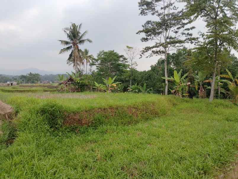 tanah daerah sekitar ciater subang jawa barat