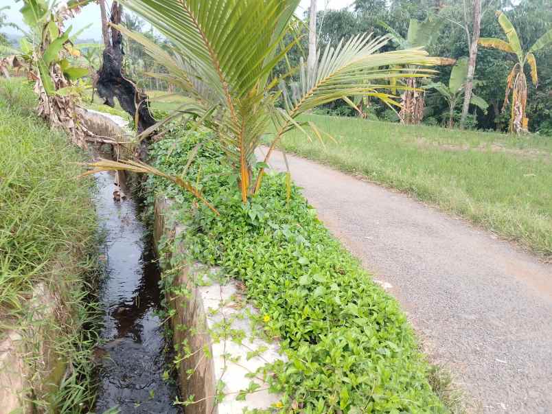 tanah daerah sekitar ciater subang jawa barat