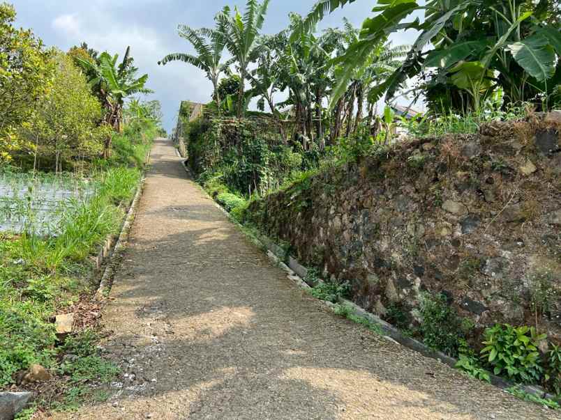 tanah datar dekat candi cetho karanganyar