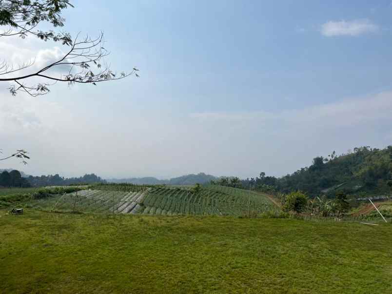 tanah datar dekat candi cetho karanganyar