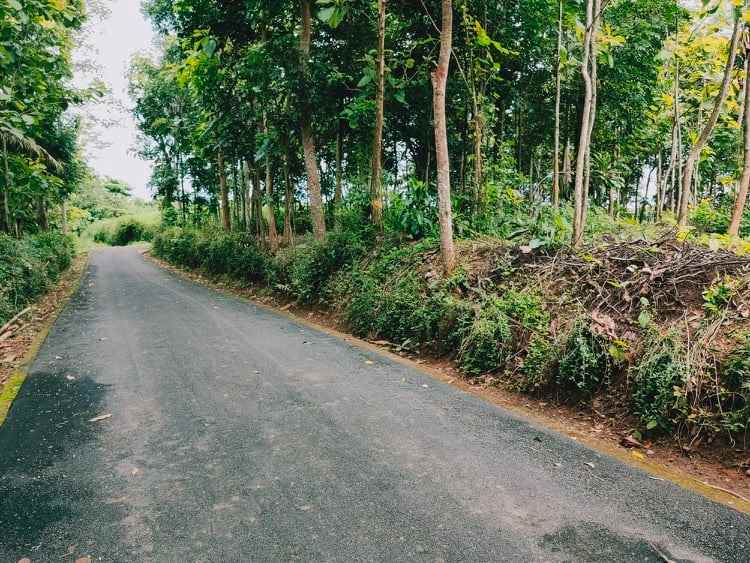 tanah dekat pasar karangpandan