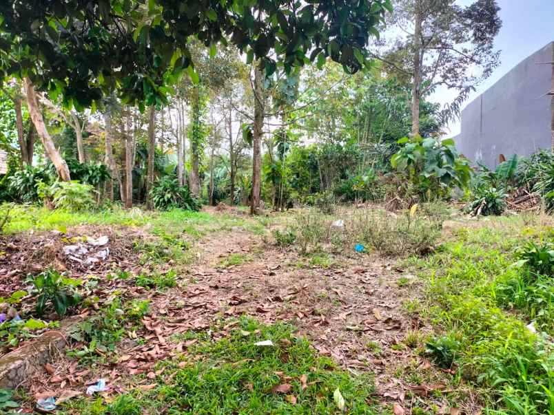 tanah dekat ramayana mall cibadak sukabumi