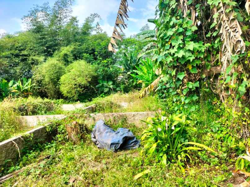 tanah dekat ramayana mall cibadak sukabumi