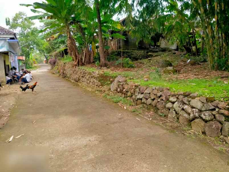 tanah dekat resto jawa dwipa karangpandan karanganyar