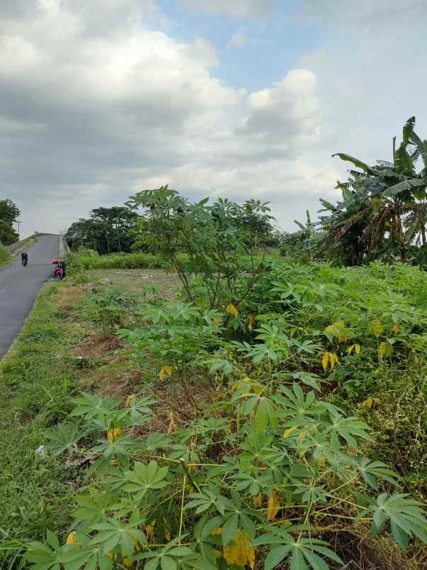 tanah desa sobokerto kec