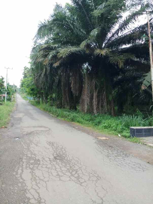 tanah di negeri sakti pesawaran luas 12 740m surat shm