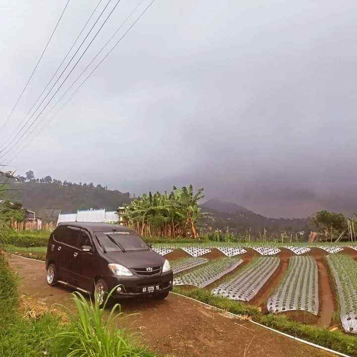 tanah diarea wisata udara sejuk karanganyar