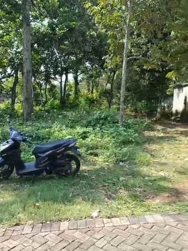 tanah gedawang banyumanik semarang