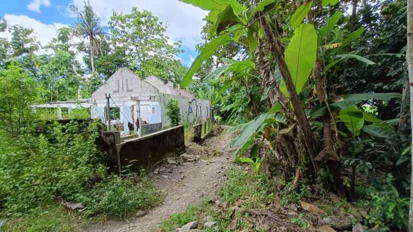 tanah hook murah sewon bantul yogyakarta shm