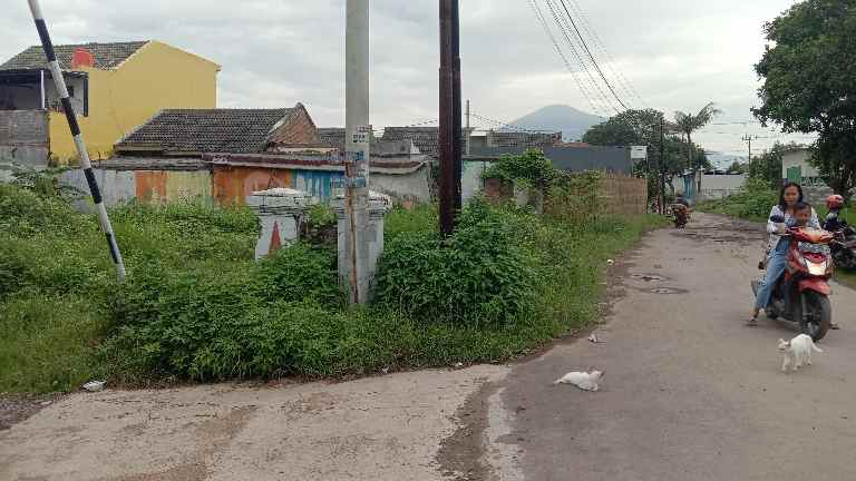 tanah jln perum bca adipura