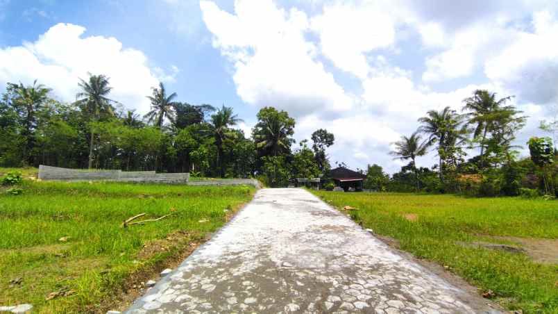 tanah kampus uny wates kulonprogo jogja