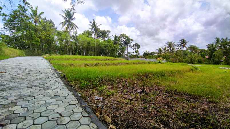 tanah kampus uny wates kulonprogo jogja