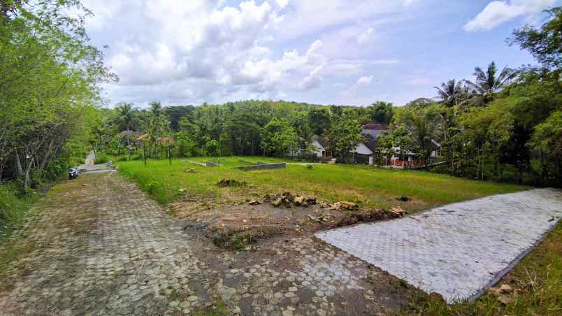 tanah kampus uny wates kulonprogo jogja