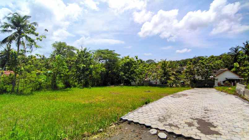 tanah kampus uny wates kulonprogo jogja