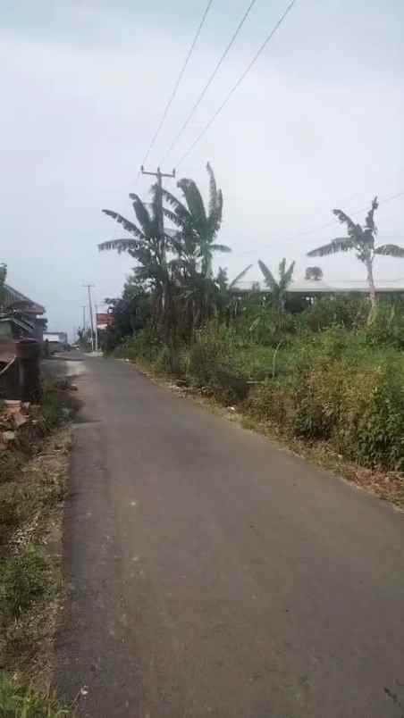 tanah kebun strategis dekat kawasan wisata