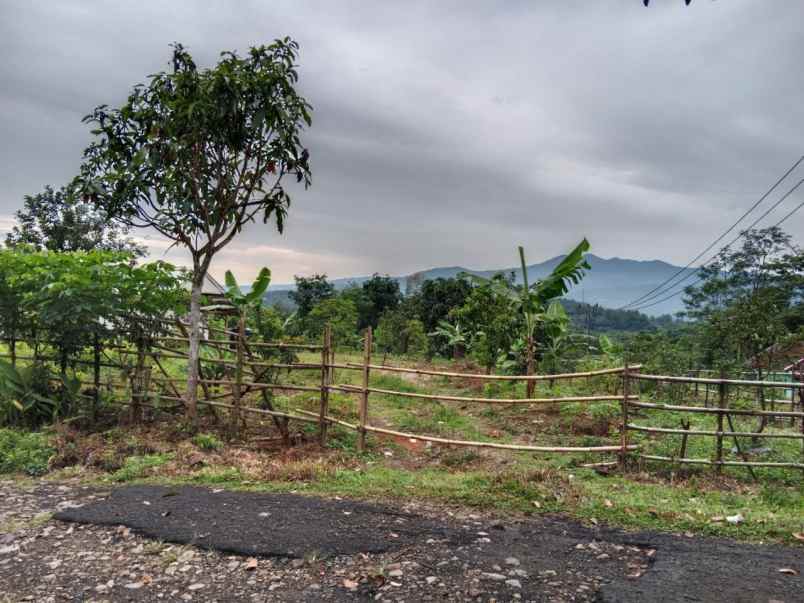 tanah lebak banten