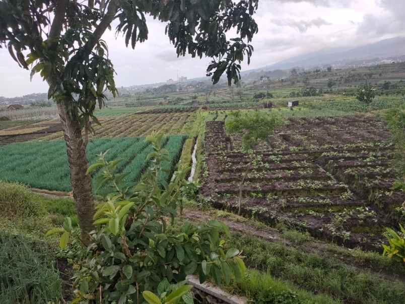 tanah luas strategis di belakang lippo plaza batu