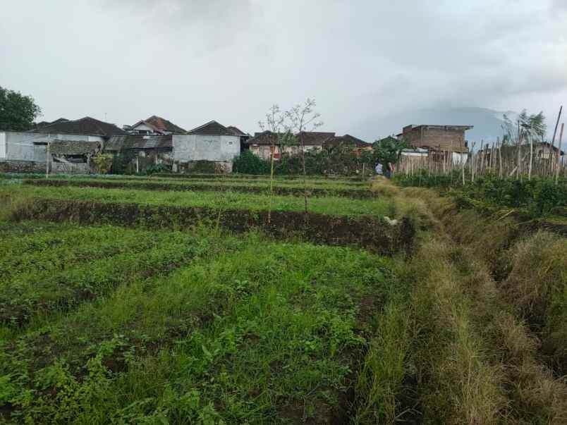 tanah luas strategis di belakang lippo plaza batu