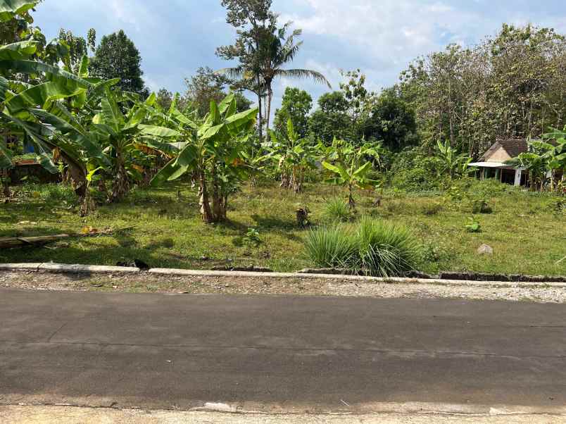 tanah murah 1302m 500jt kerjo karanganyar