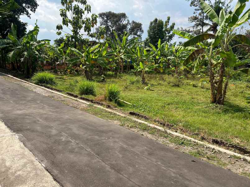 tanah murah 1302m 500jt kerjo karanganyar