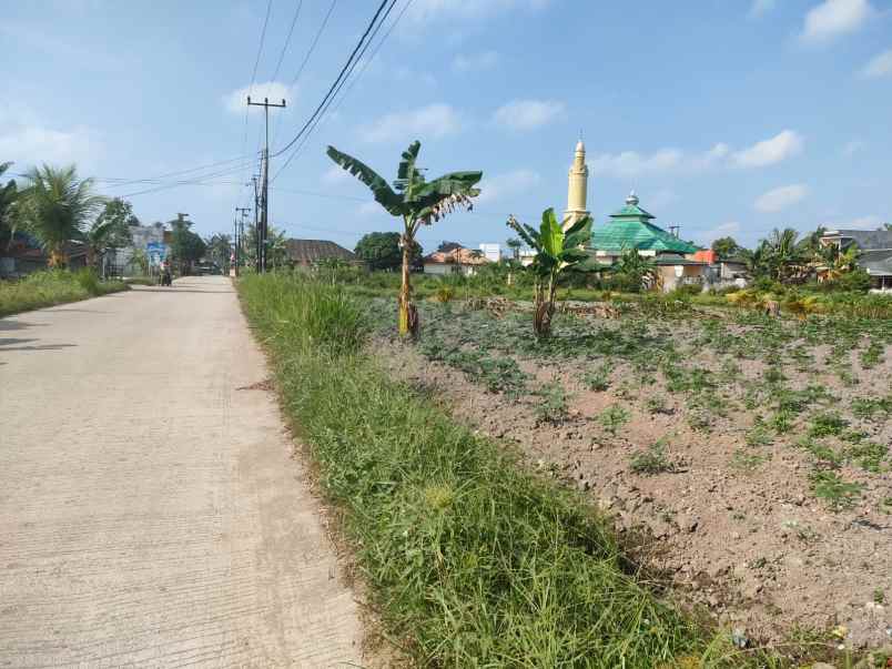 tanah murah dekat kampus politeknik sriwijaya