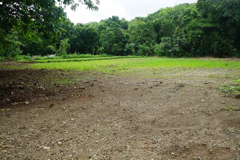 tanah murah di pleret bantul cocok untuk hunian