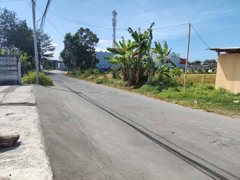 tanah murah palagan jogja 500 meter kopi njongke shm