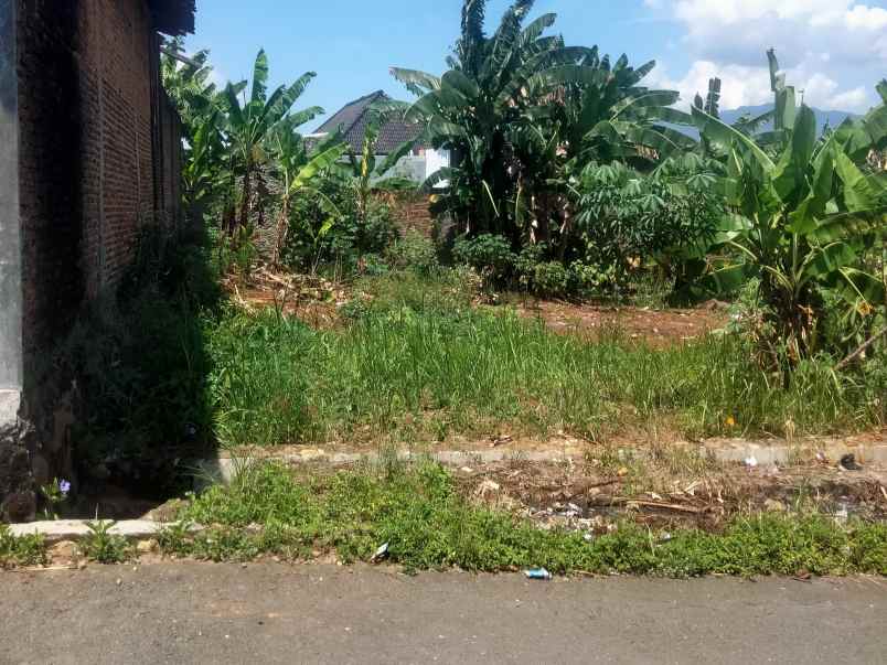 tanah pekarangan siap bangun di rajabasa luas 375m shm