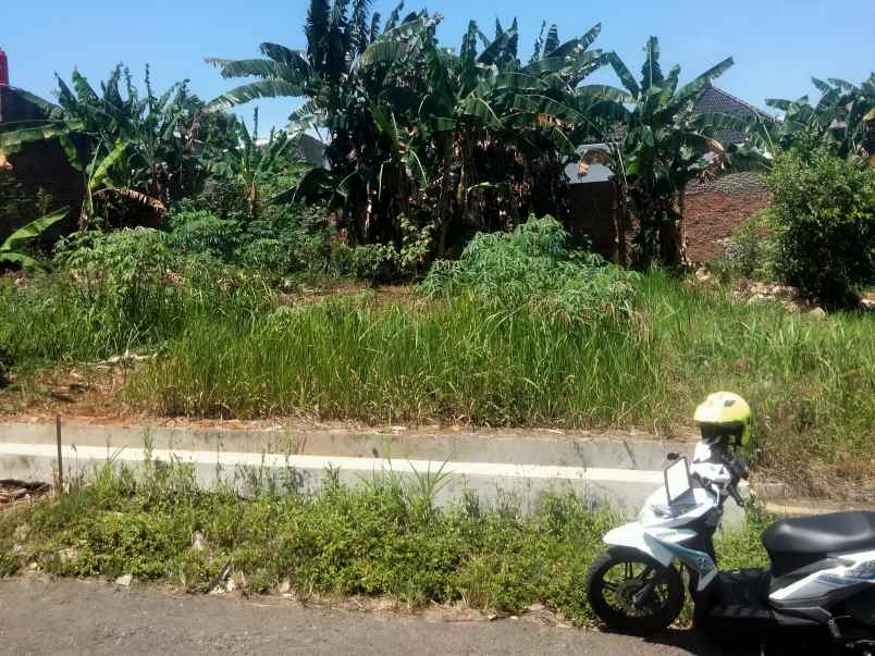 tanah pekarangan siap bangun di rajabasa luas 375m shm