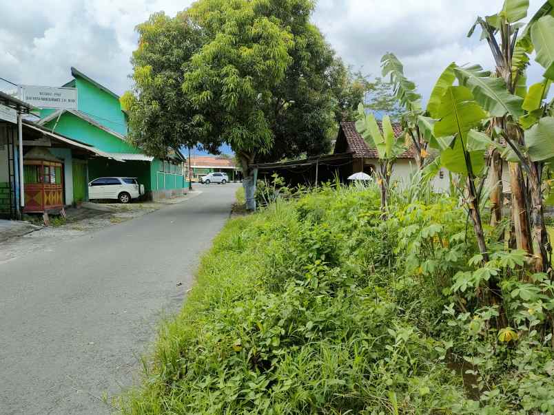 tanah pinggir jalan sriningsih